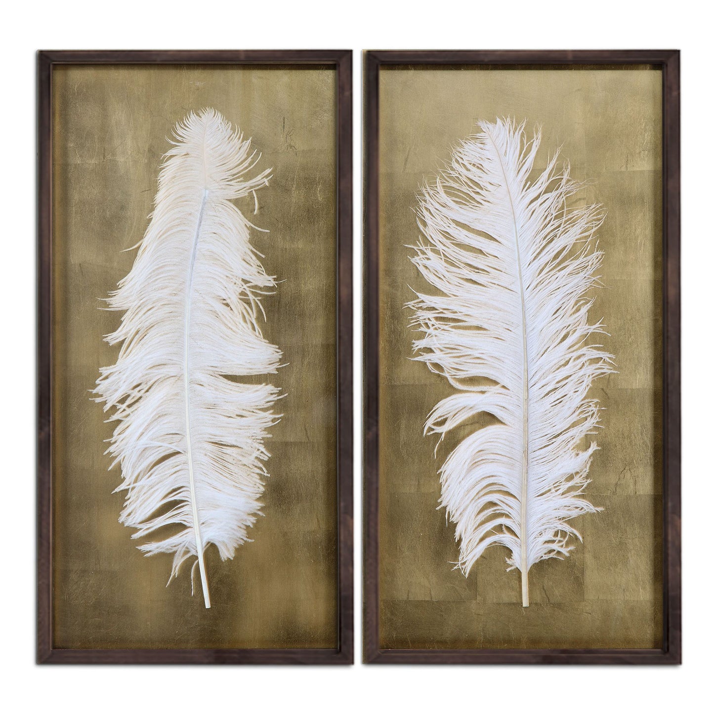 feather wall decor